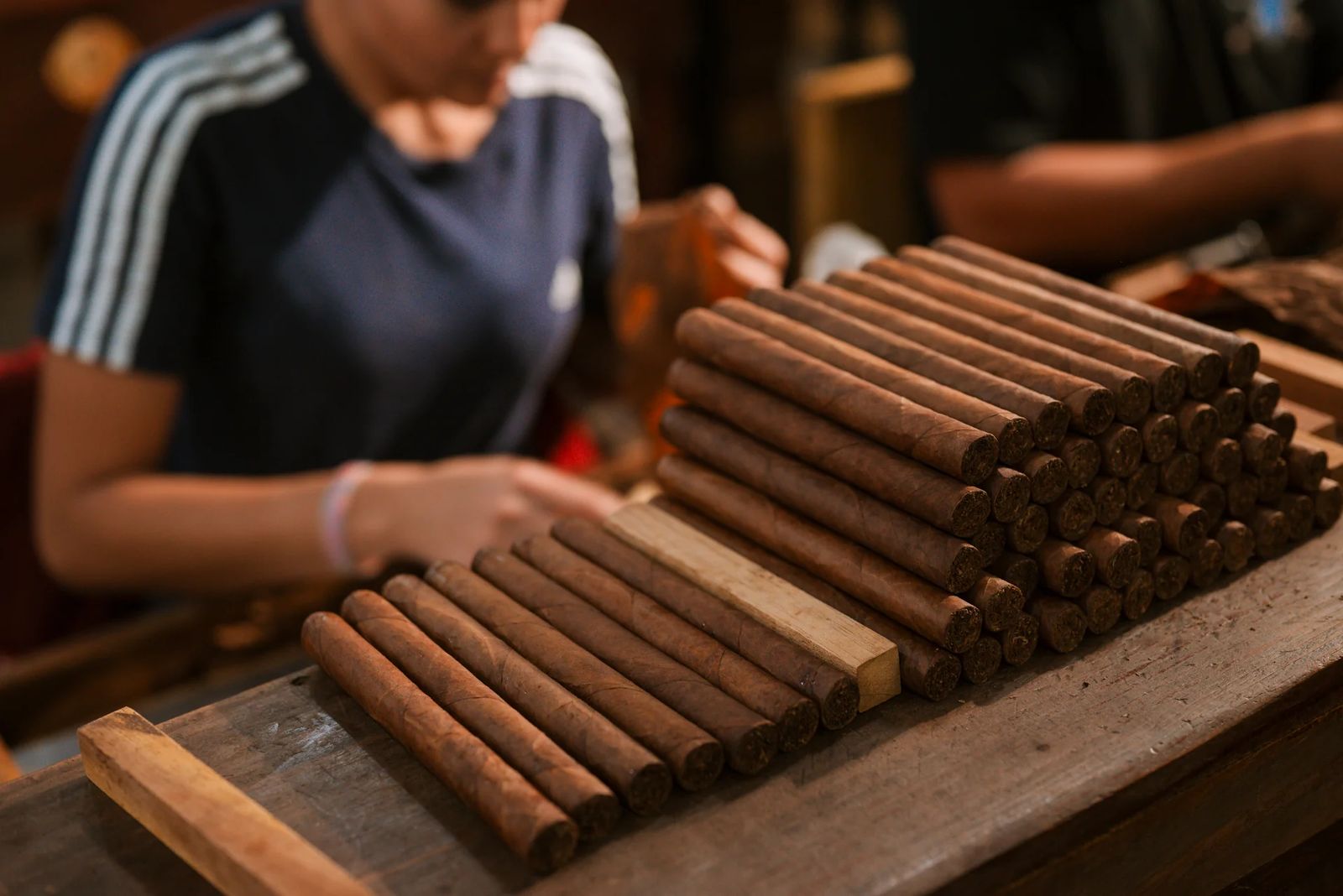 Cigars being prepared in a production setting for a Cigar Projects programme